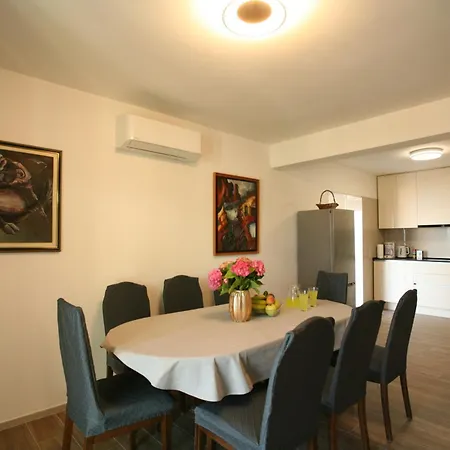 فيلة Damjan تروغير